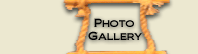 YOU ARE HERE: The Photo Gallery page